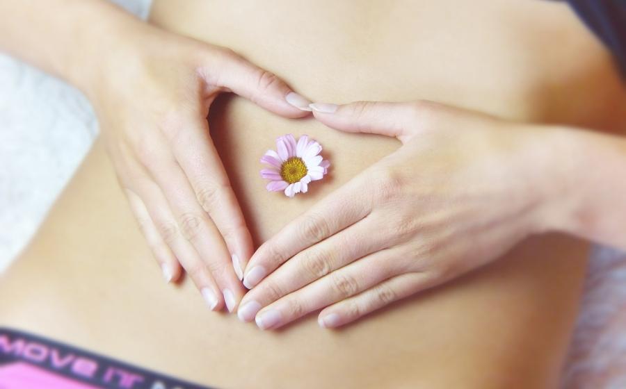 Zdravé střevo, zdroj obrázku Pixabay.com