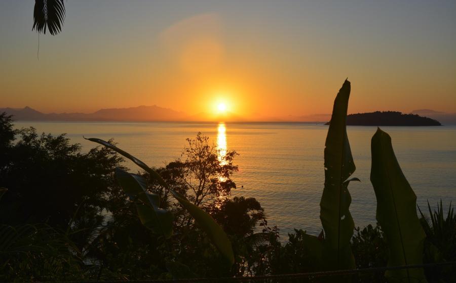 Dovolená, tropická pláž Brazílie, zdroj obrázku Pixabay.com