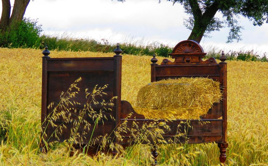 Postel se slámou v poli, zdroj obrázku Pixabay.com