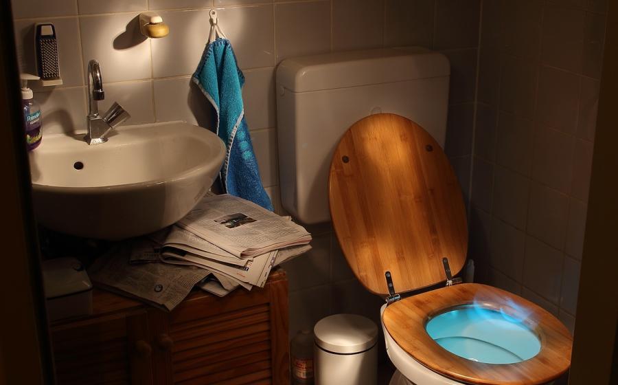 Toaleta, zdroj obrázku Pixabay.com