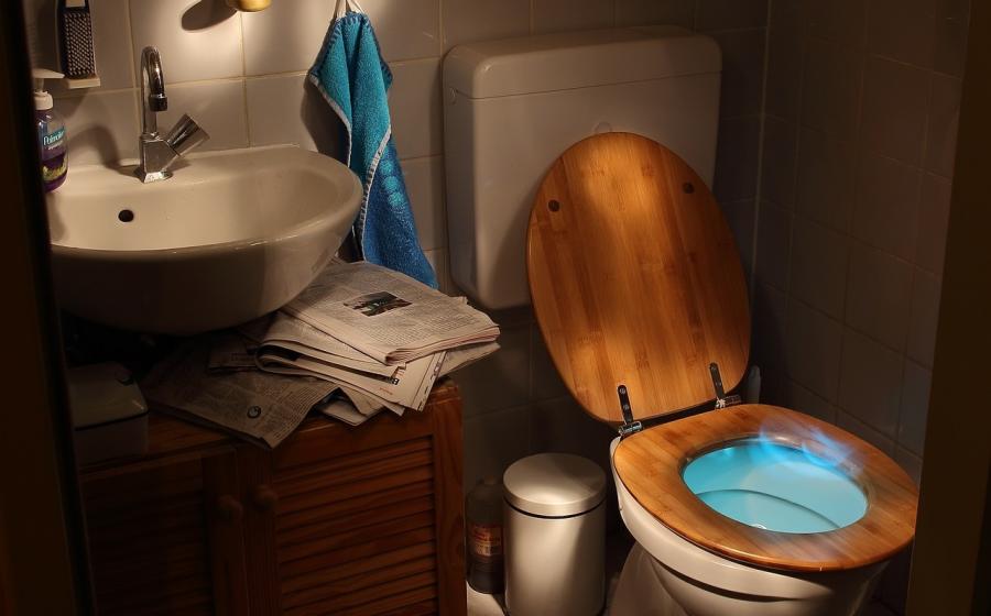 Toaleta, zdroj obrázku Pixabay.com