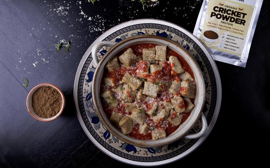 Hmyzí mouka, Zdroj obrázku Pixabay.com