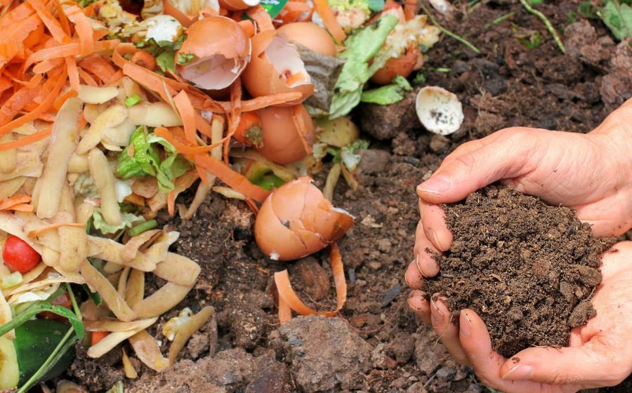 Kompost pro žížaly, zdroj obrázku Pixabay.com