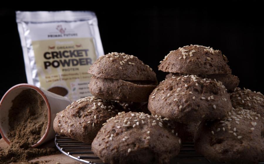 Potraviny s hmyzí moukou, zdroj obrázku Pixabay.com