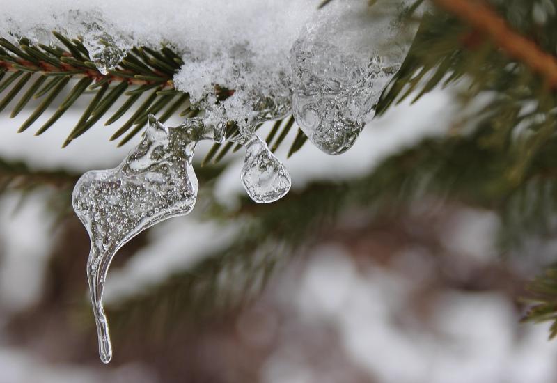 Sníh, autor Else Siegel, zdroj obrázku Pixabay.com