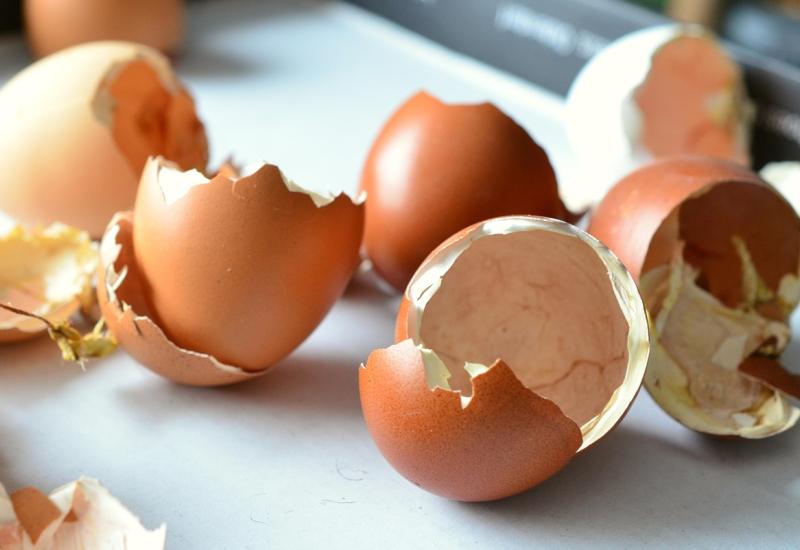 Skořápky z vajíček, autor Congerdesign, zdroj Pixabay.com