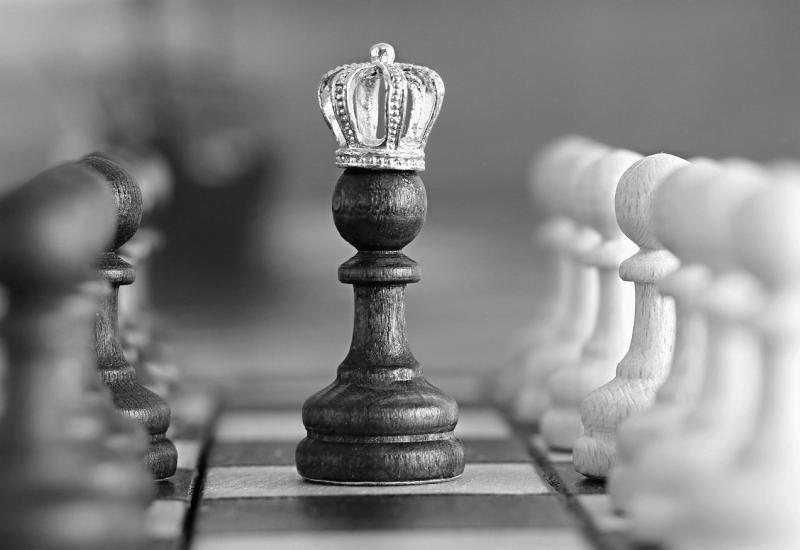 Šachový král, autor obrázku Pankaj raj, zdroj Pixabay.com