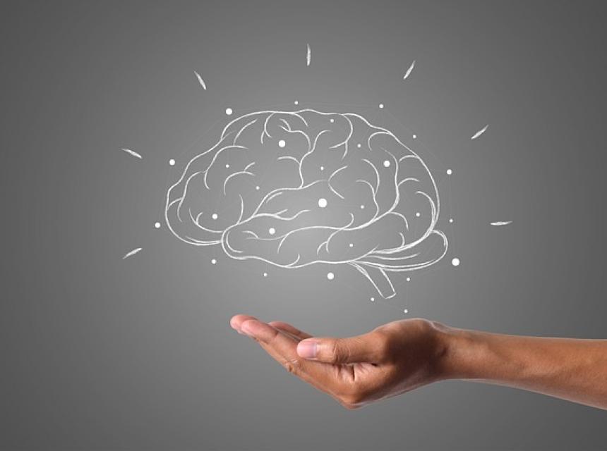 Mozek na dlani, zdroj obrázku Pixabay.com