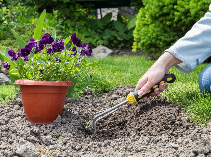 Žena pracuje na zahradě, zdroj obrázku PIxabay.com