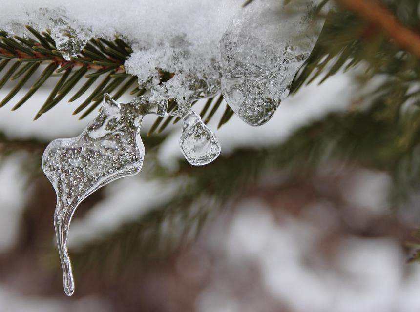 Sníh, autor Else Siegel, zdroj obrázku Pixabay.com