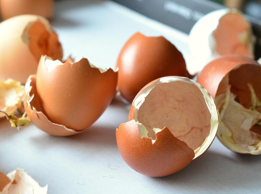 Skořápky z vajíček, autor Congerdesign, zdroj Pixabay.com